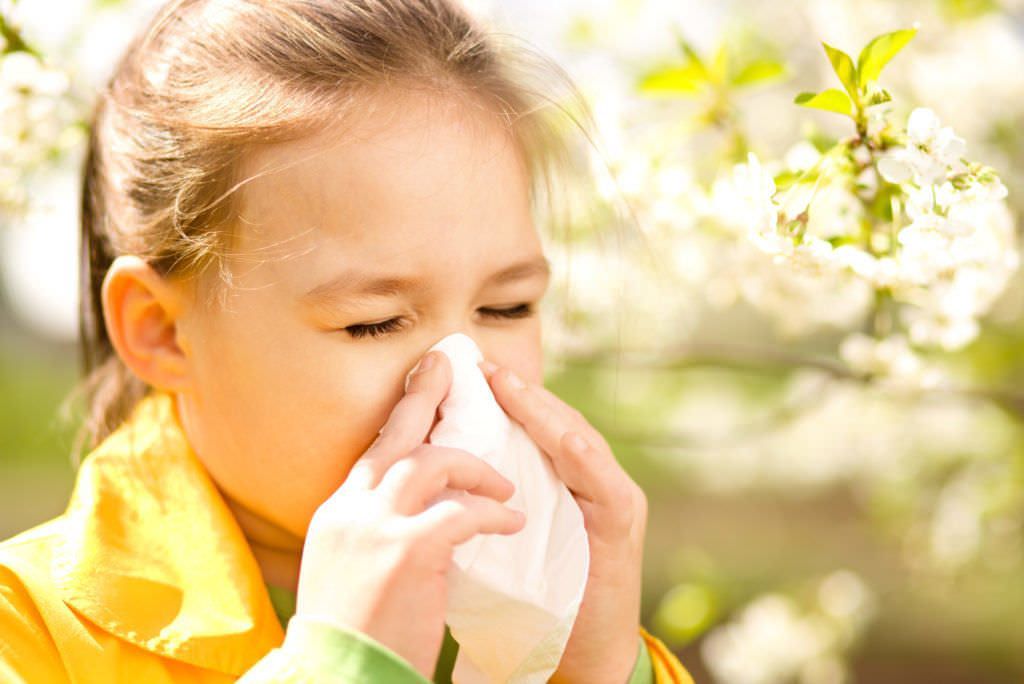 Кашель и насморк без температуры – причина в аллергии