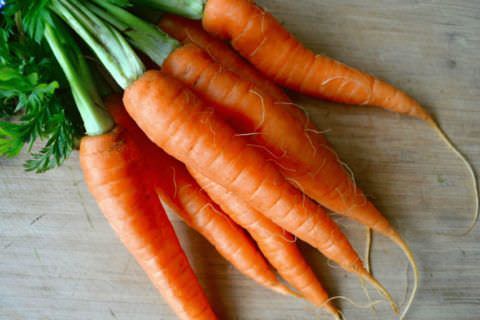 Морковь, мед
