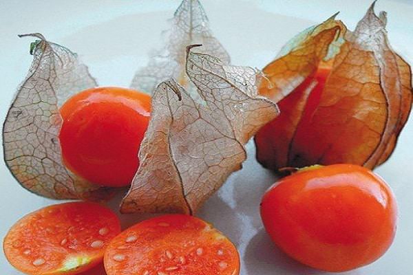 Физалис — полезные свойства и противопоказания ягоды