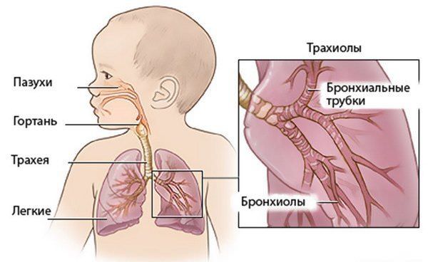 Как вылечить кашель у семимесячного ребенка thumbnail