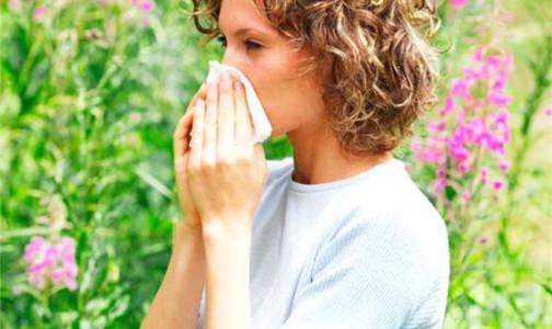 Аллергия на амброзию и 7 моих способов облегчения состояния