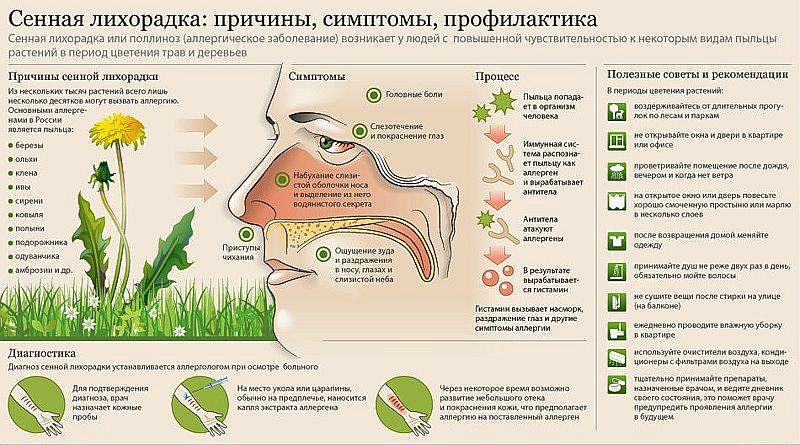 Аллергия народное лечение  — лечение народными средствами