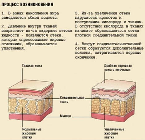 Alter-zdrav.ru 4 года — продолжаем восстанавливать здоровье