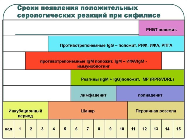 Анализ крови на сифилис: расшифровка результатов, показатель суммарных антител к t.pallidum