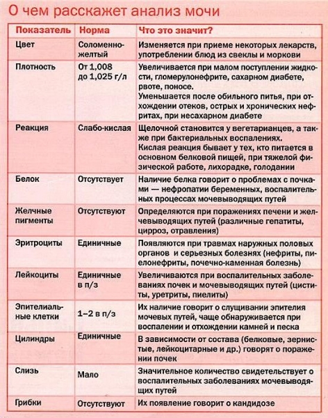 Анализы мочи: виды, расшифровка, правила подготовки и сдачи, виды изменений зменения при болезнях.