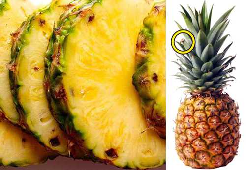Ананас: польза и вред для здоровья, как правильно выбрать, съесть, почистить