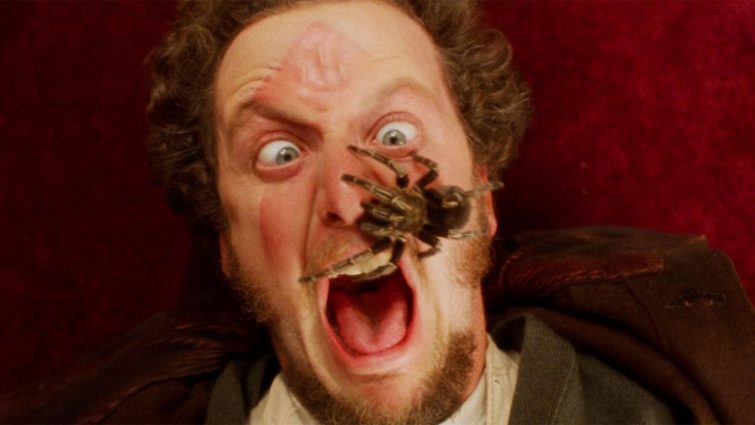 Арахнофобия: боязнь пауков / страх перед пауками