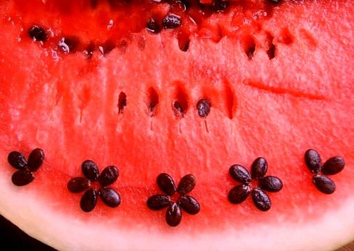 Арбуз: польза и вред для здоровья, чистка арбузами, как выбирать