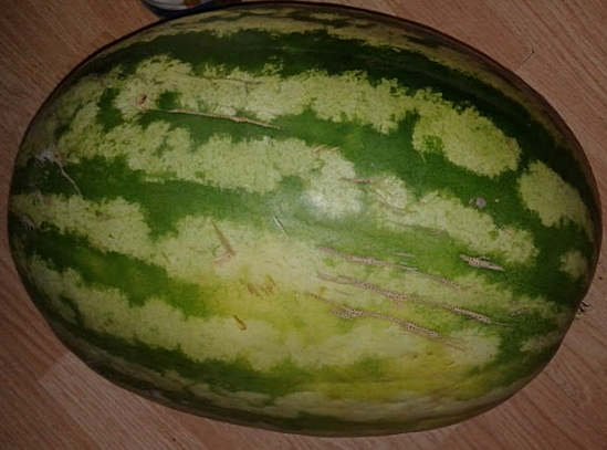 Арбуз: польза и вред для здоровья, чистка арбузами, как выбирать