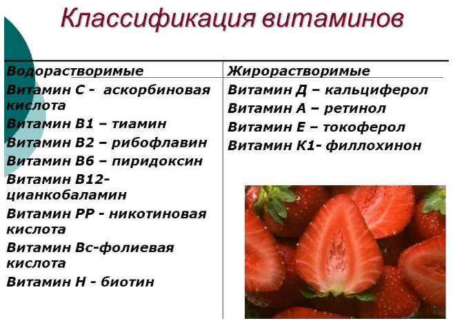 Авитаминоз и гиповитаминоз: симптомы, лечение, профилактика, причины