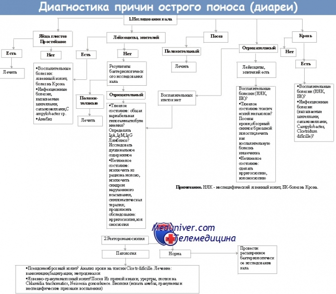 Бактериальная диарея