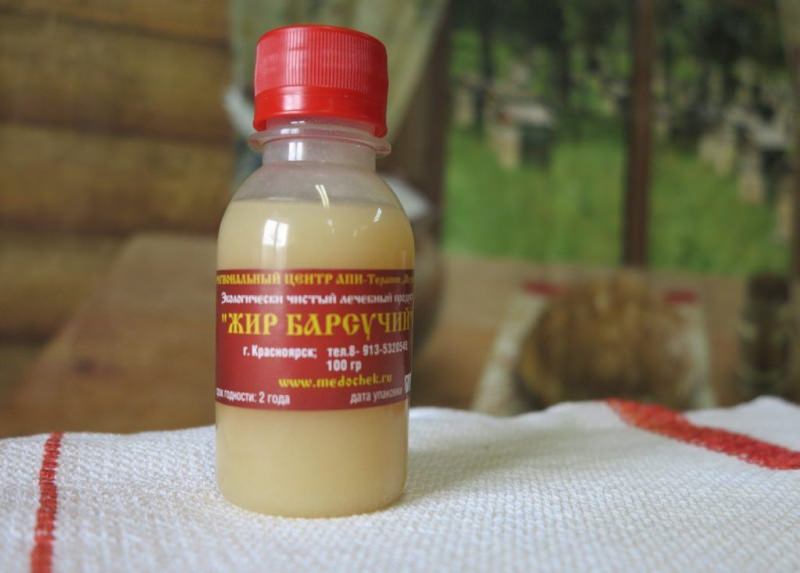 Барсучий жир: лечебные свойства и противопоказания