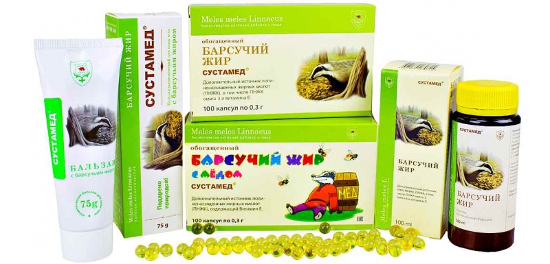 Барсучий жир: лечебные свойства и противопоказания