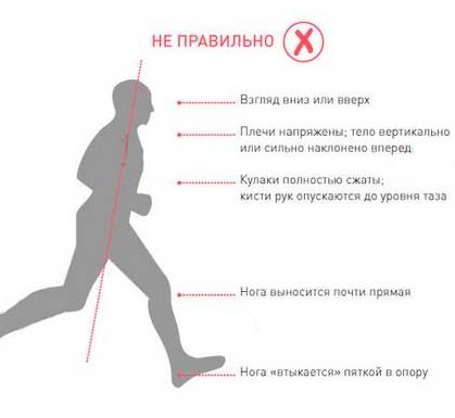 Бег по утрам. плюсы и минусы для похудения, как начать, результаты для женщин, график, когда лучше, правила для начинающих