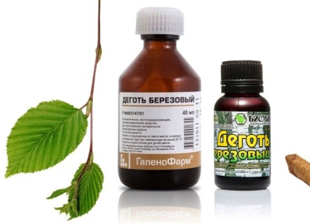 Березовый деготь — польза и вред, применение в лечении