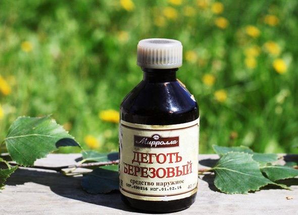 Березовый деготь — польза и вред, применение в лечении