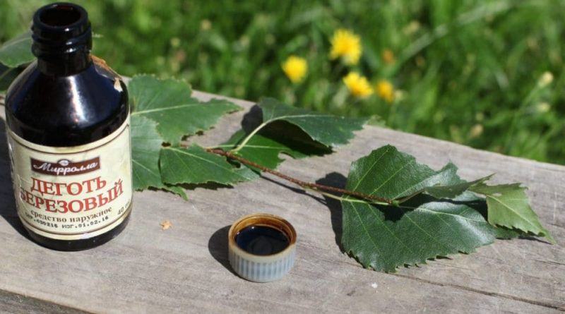 Березовый деготь — польза и вред, применение в лечении