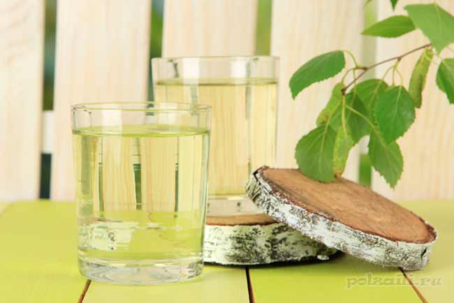 Березовый сок — польза и вред, свойства, сбор сока, состав