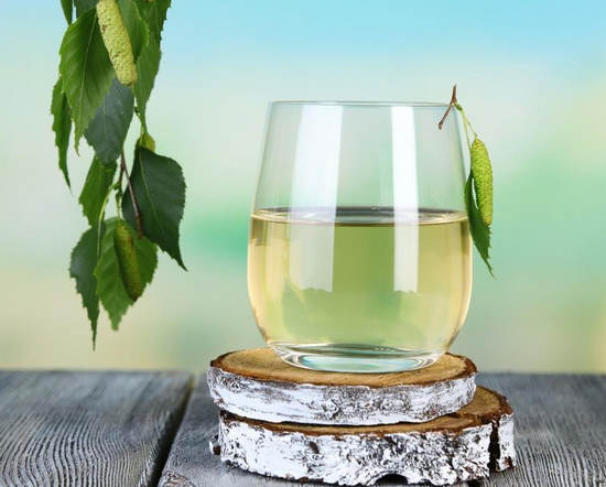 Березовый сок — польза и вред, свойства, сбор сока, состав