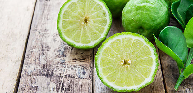 Бергамот — что это за растение, польза и вред, чай с бергамотом