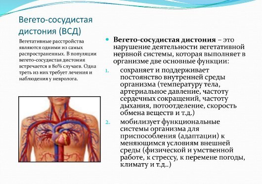 Берут ли в армию с всд (вегето-сосудистой дистонией)