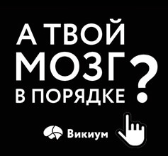 Бешенство у человека, симптомы и первые признаки, опасность вируса, инкубационный период