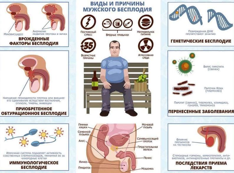 Бесплодие в браке — какие причины бесплодия у женщин и мужчин, его виды
