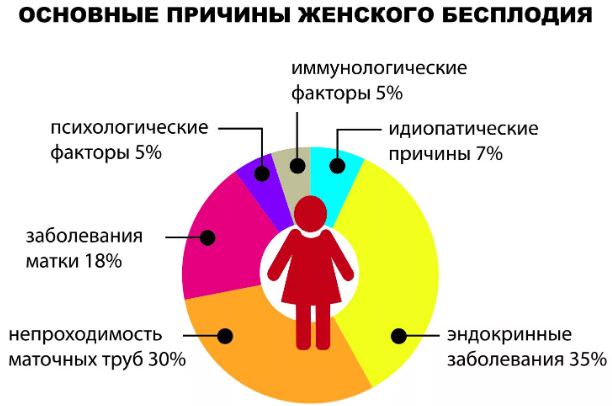 Бесплодие в браке — какие причины бесплодия у женщин и мужчин, его виды
