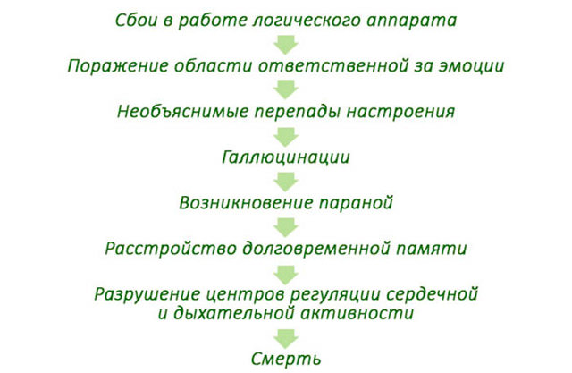 Болезнь альцгеймера, лечение в домашних условиях