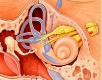 Болезнь меньера симптомы и лечение синдрома
