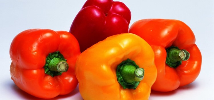 Болгарский перец — польза и вред для здоровья сладкого овоща