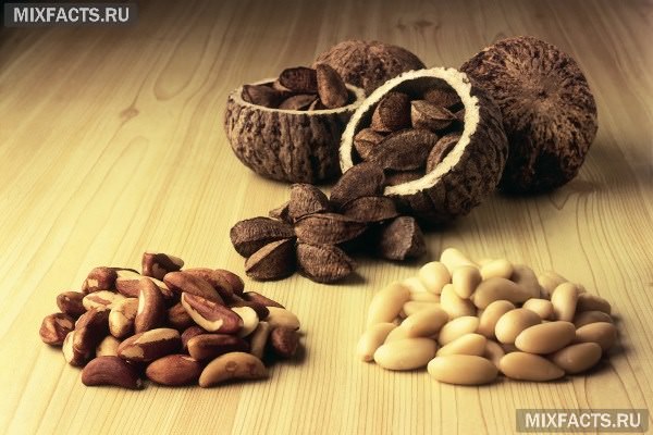 Бразильский орех — польза и вред, полезные свойства для женщин и мужчин