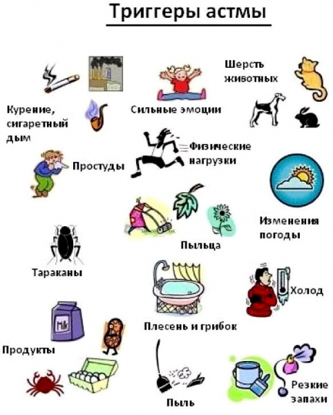 Бронхиальная астма &ndash; причины, симптомы, лечение у взрослых, профилактика