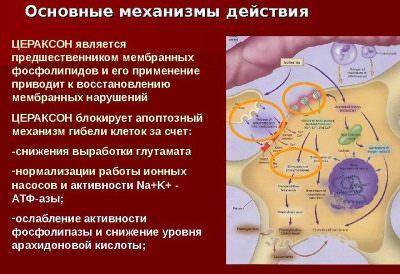 Цераксон и аналоги препарата, сироп и таблетки, раствор для приема внутрь детям