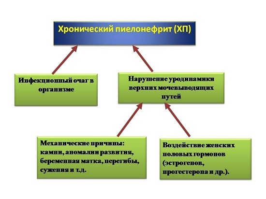 Чем опасен пиелонефрит при беременности для плода