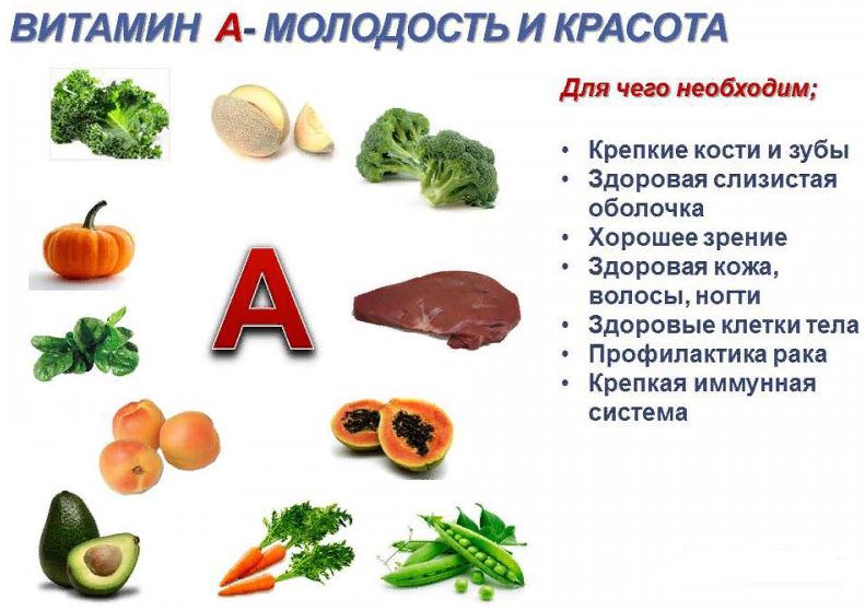 Чем полезен витамин а для организма, в каких продуктах содержится, применение