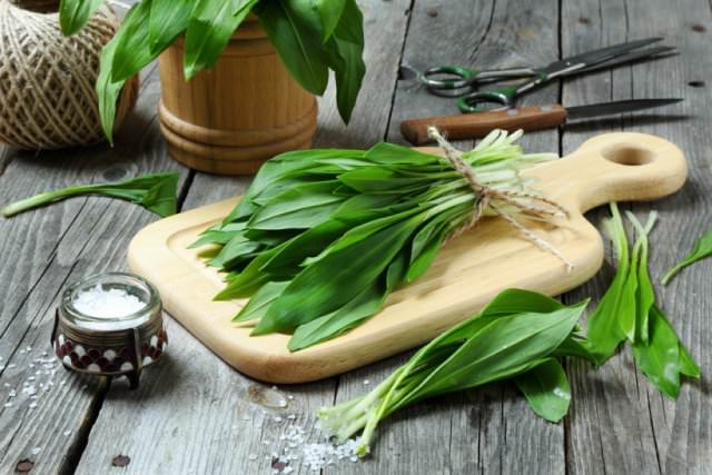 Черемша: полезные свойства и противопоказания медвежьего лука, первой весенней зелени