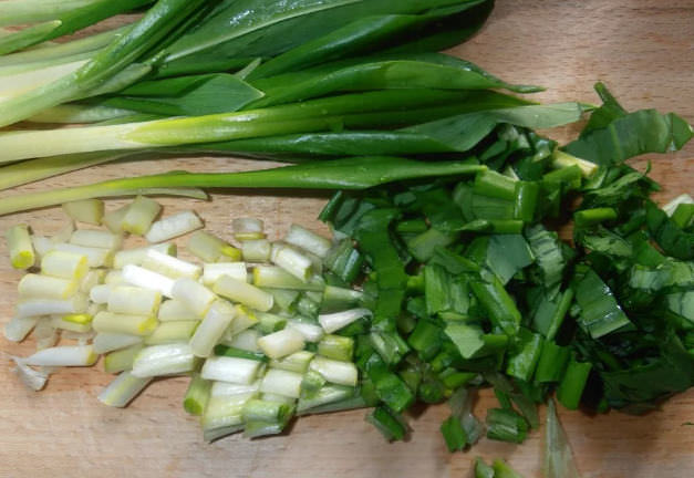 Черемша: полезные свойства и противопоказания медвежьего лука, первой весенней зелени