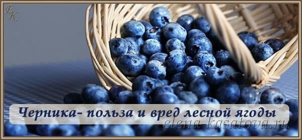 Черника: полезные свойства и противопоказания ягоды — антисептика