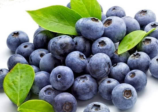 Черника: полезные свойства и противопоказания ягоды — антисептика