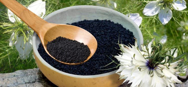 Черный тмин – полезные свойства и противопоказания, применение семян и масла