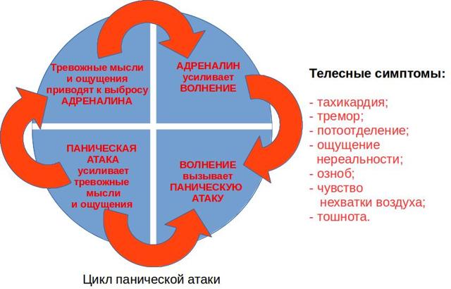 Что делать, если каждое утро трясет из-за давления и панических атак?