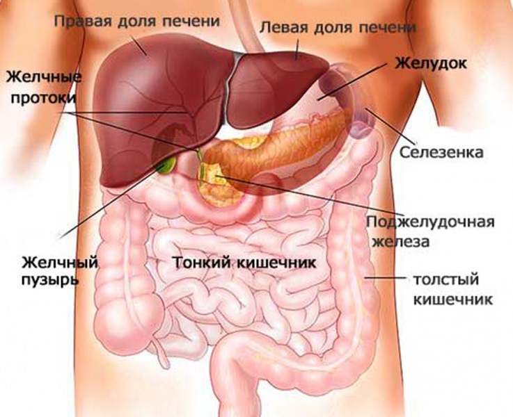 Что это за болезнь панкреатит: симптомы и лечение, диета