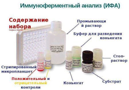 Что означает анти-хламидия трахоматис в результатах анализа?