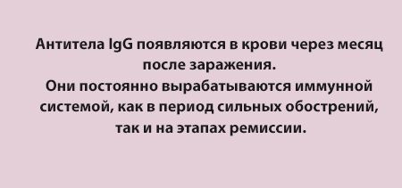 Что означает анти-хламидия трахоматис в результатах анализа?