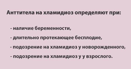 Что означает анти-хламидия трахоматис в результатах анализа?