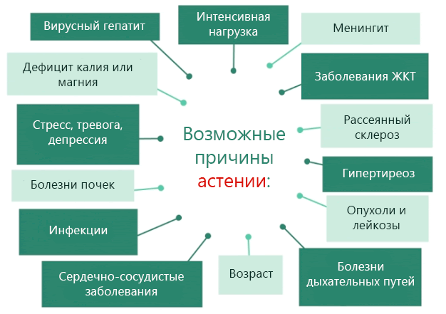 Что такое астения простыми словами и как ее лечить