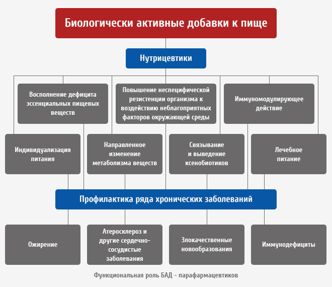 Что такое биологически активные добавки к пище, группы, их действие