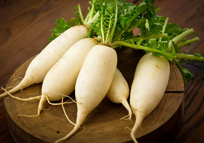 Дайкон &mdash; полезные свойства и противопоказания японской редьки, применение в медицине и кулинарии