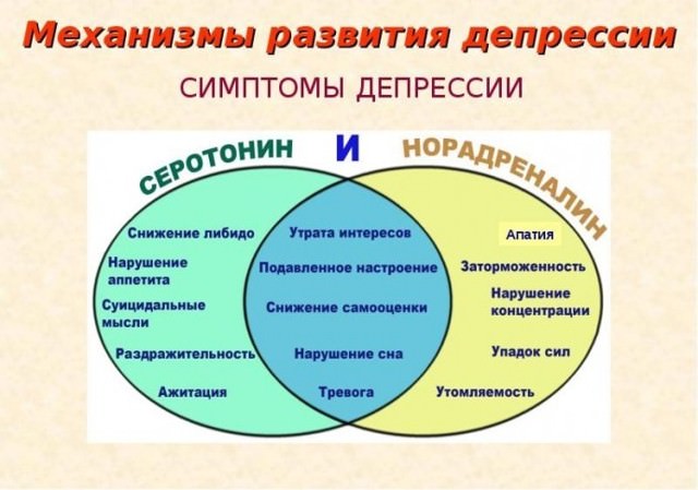 Депрессивный невроз, симптомы и лечение, как отличить